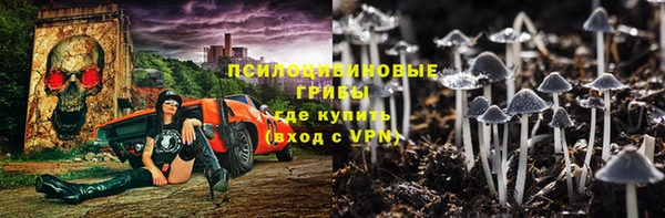 apvp Алексеевка